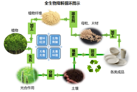 生物質(zhì)微型反應(yīng)釜(圖2)